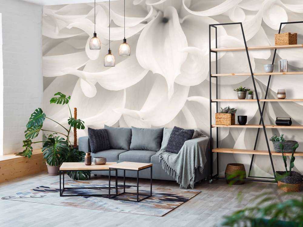 Close-up of Dahlia flower