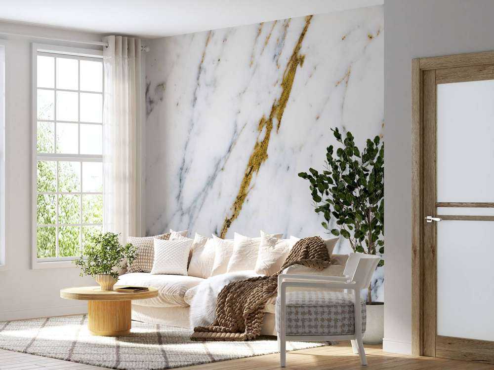 White marble with golden veins