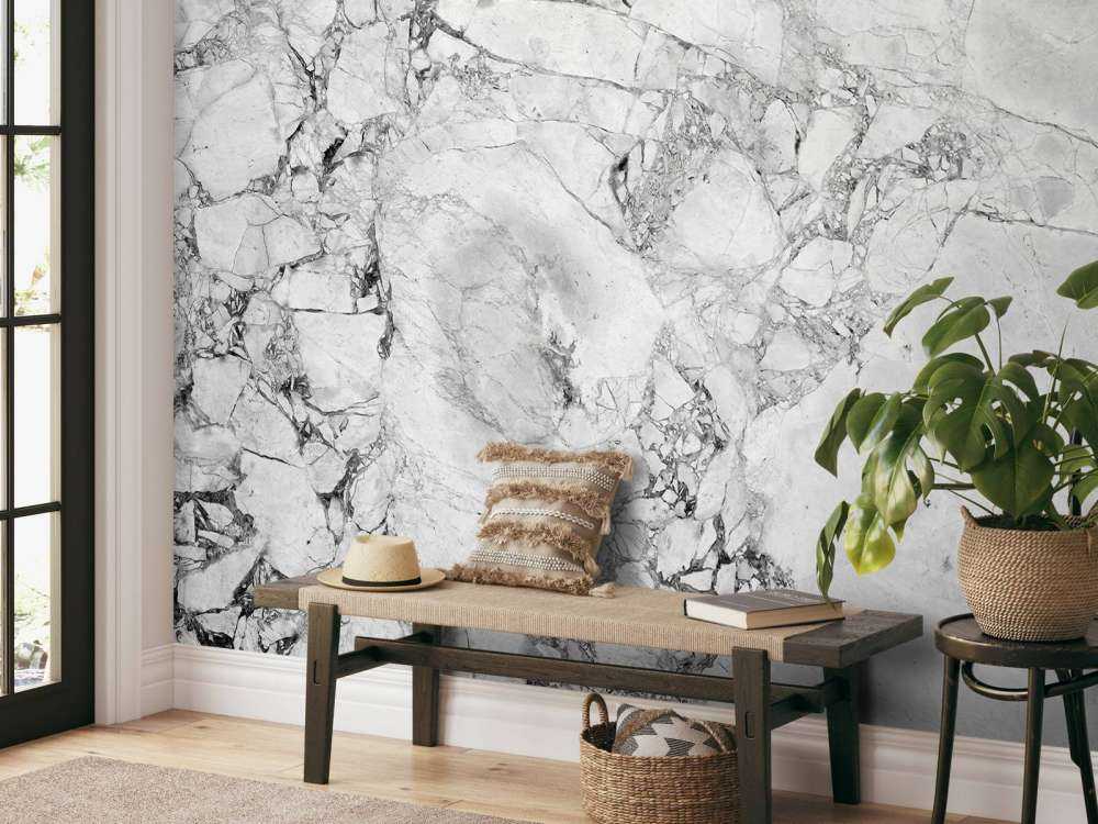 Black and white marble with coarse structure