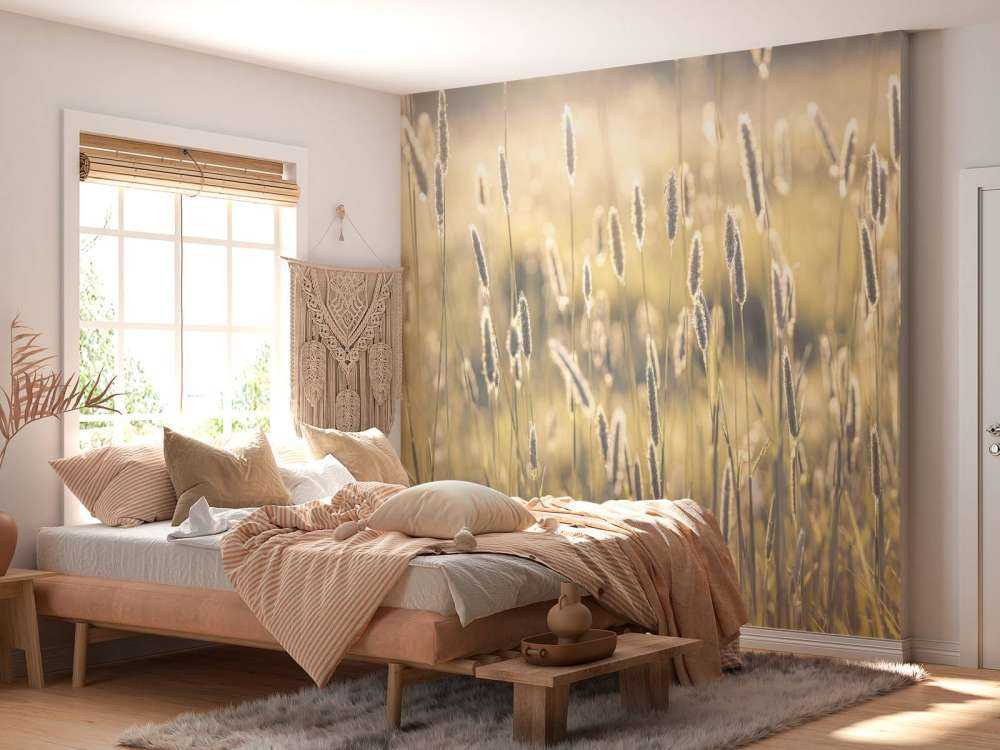 Summer meadow close-up