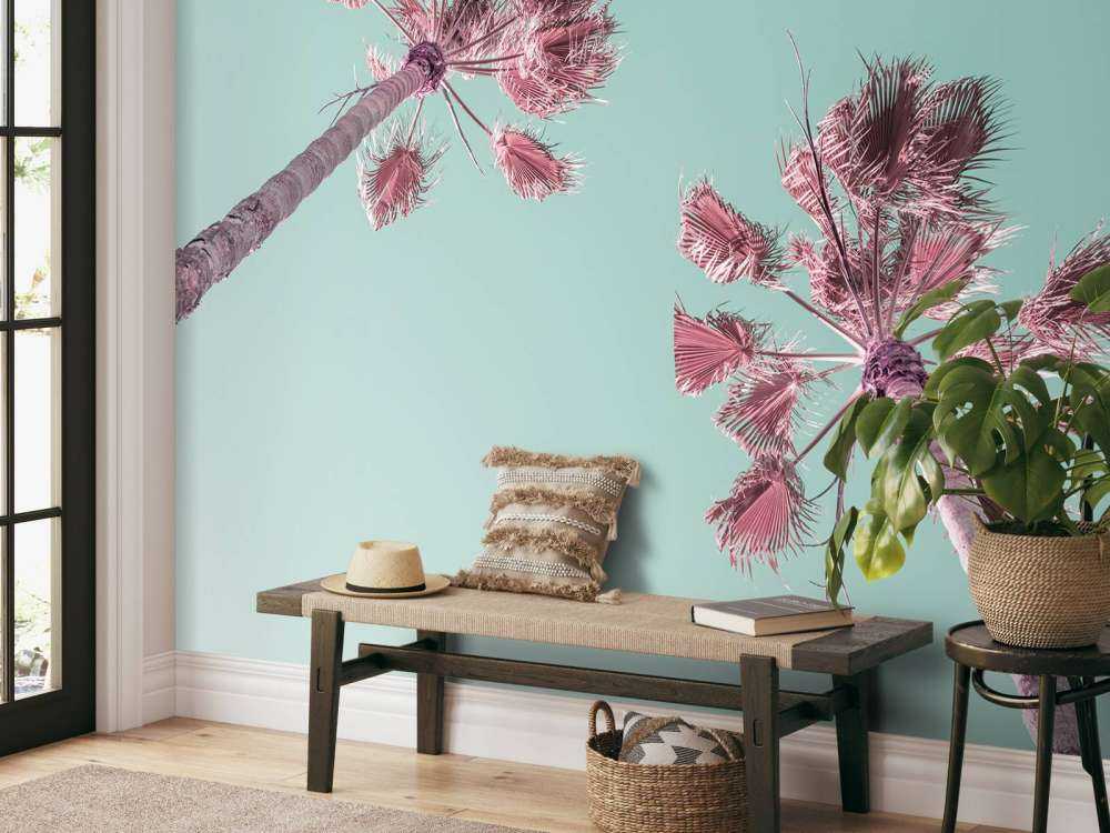 Palm trees during summer