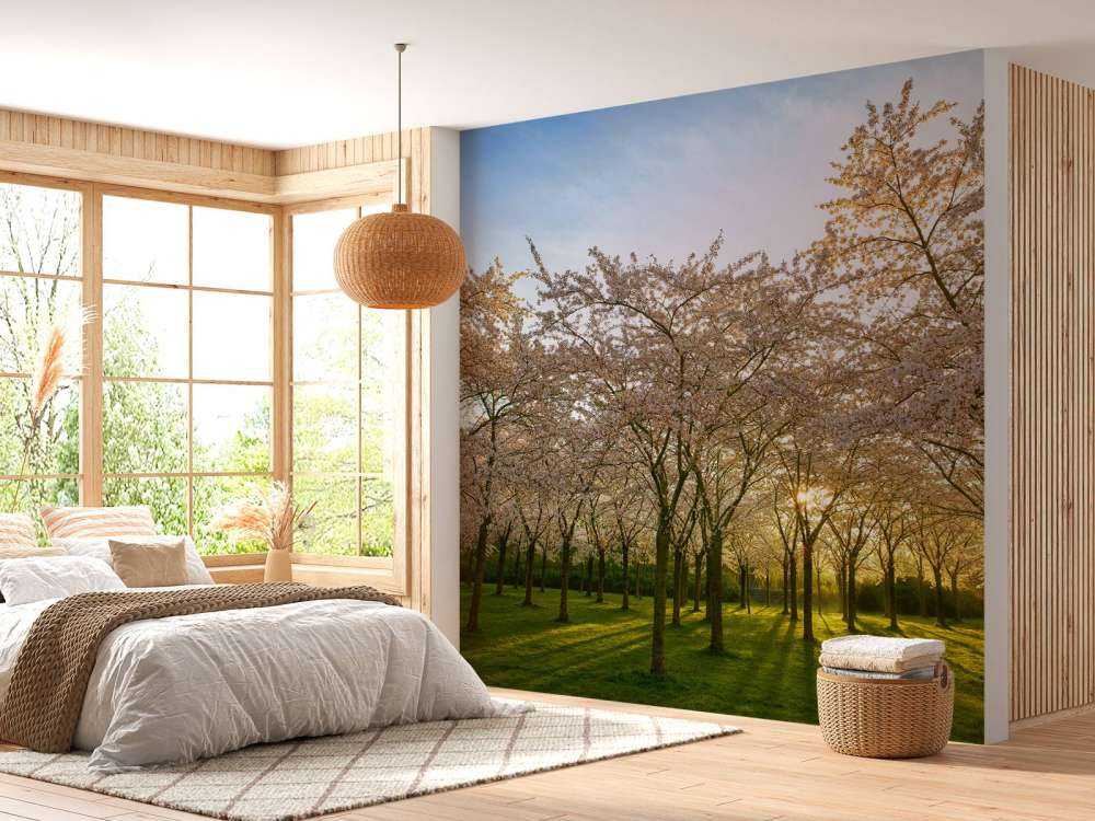 Flowering blossom trees