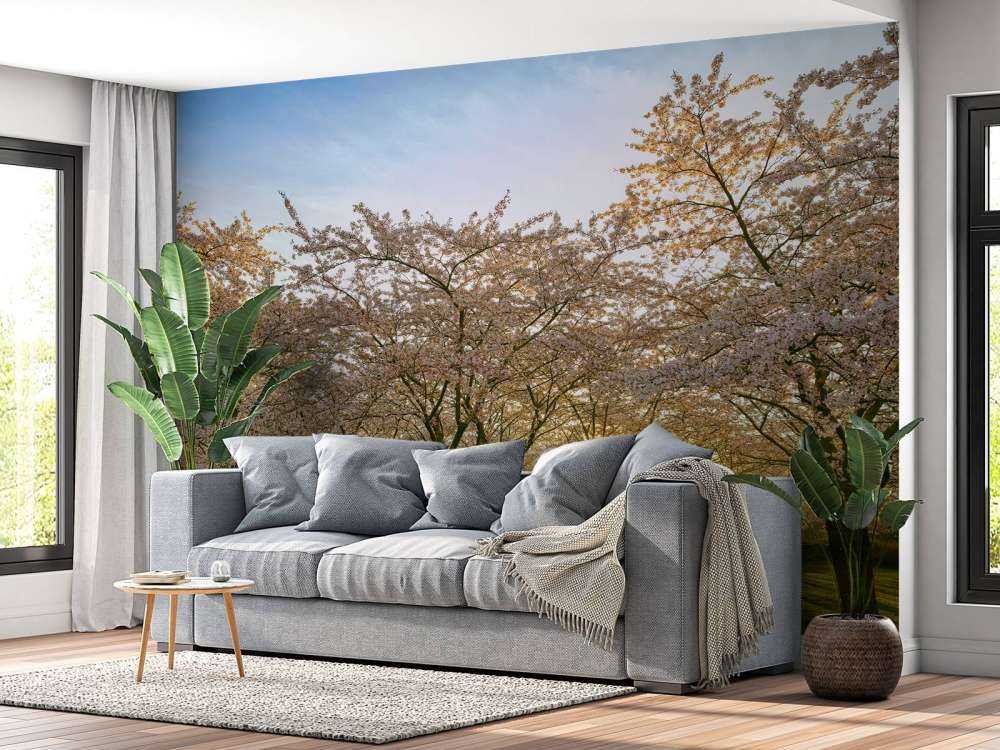 Flowering blossom trees