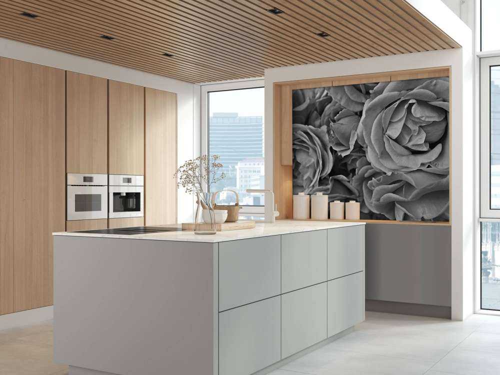 Roses black and white