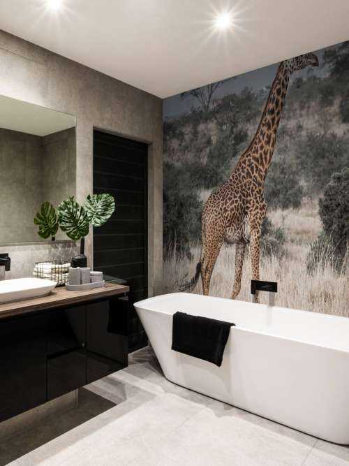 Giraffe Portrait