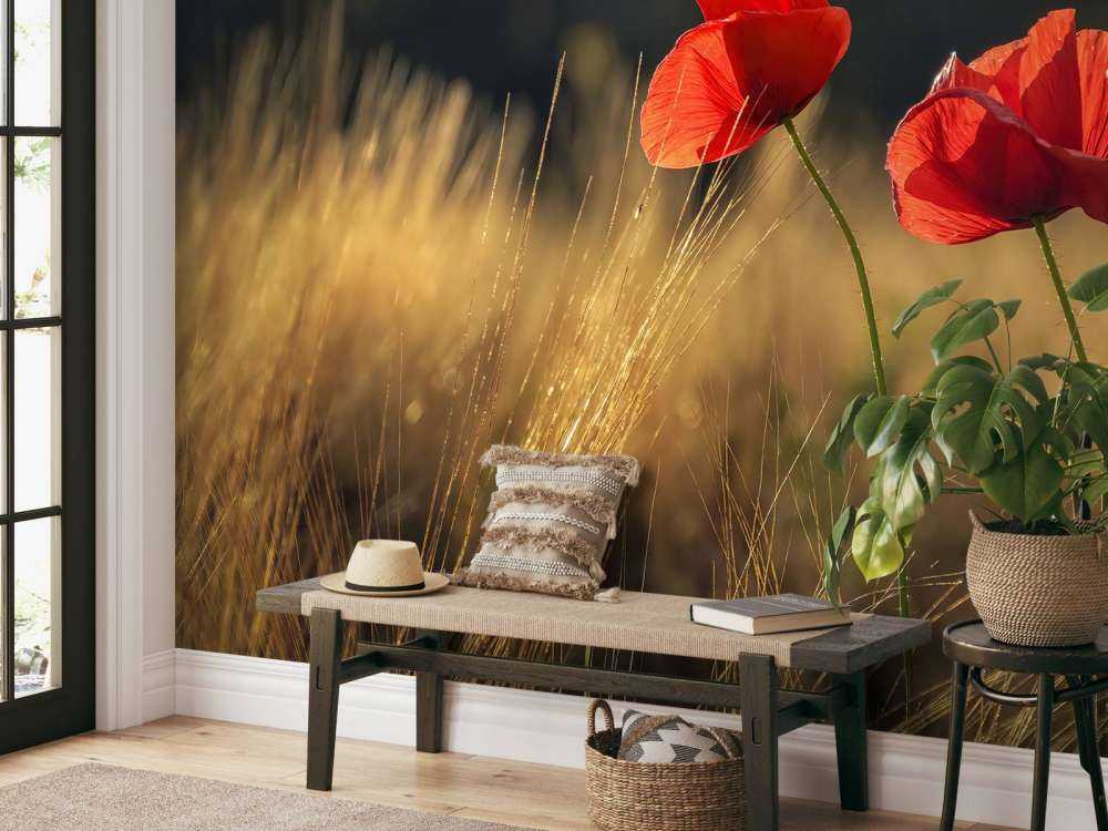 Poppies in a wheat field