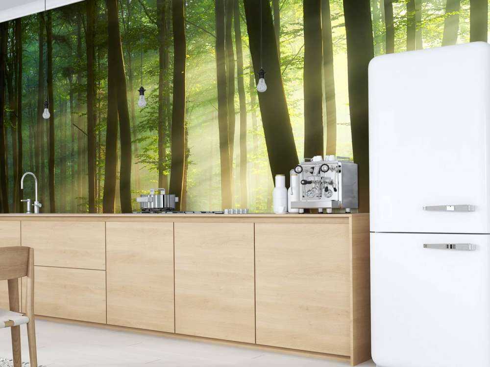 Morning sun among the trees