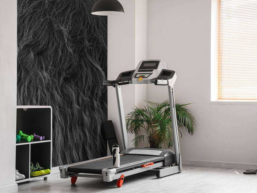 Scottish Highlander coat in black and white