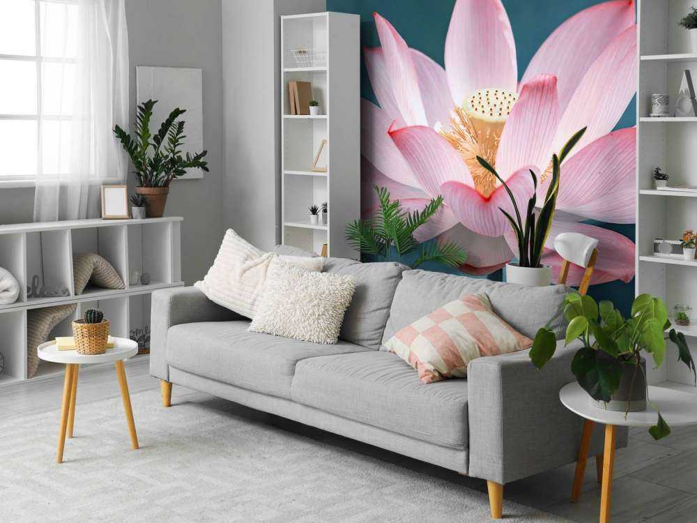 Close-up lotus flower