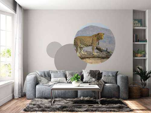 Leopard in Namibia