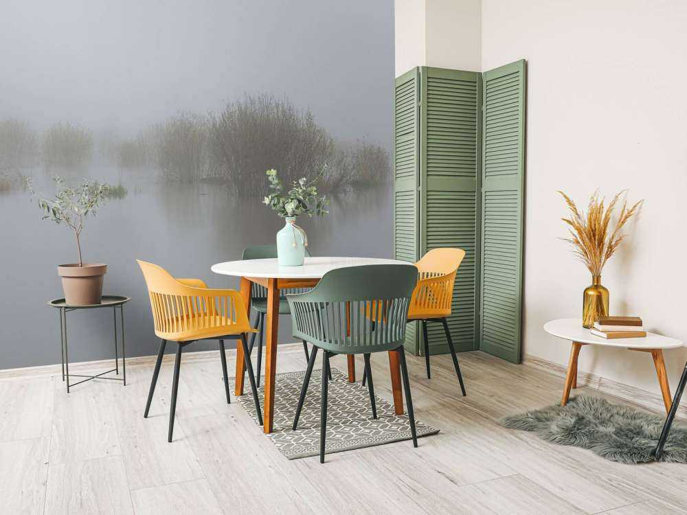 Fog in nature reserve