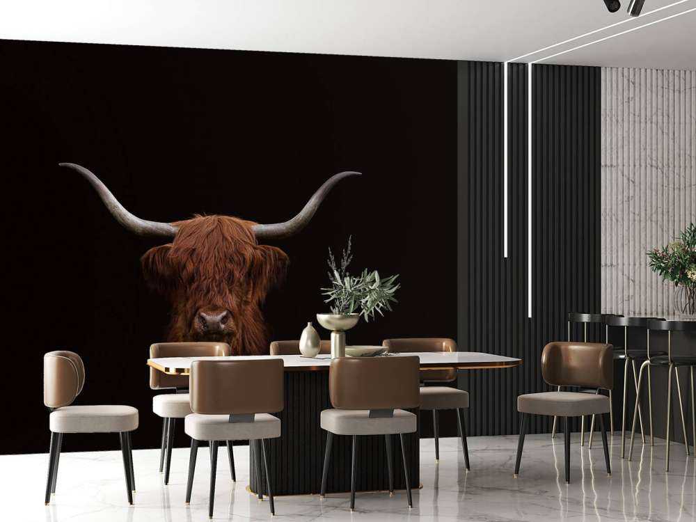 Scottish Highlander on dark background