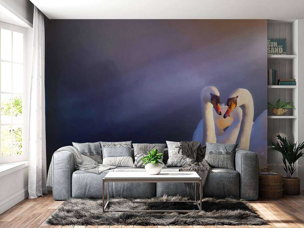 Love couple white swans