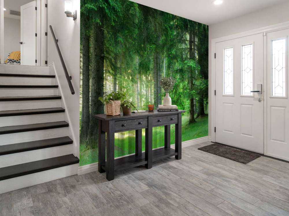 Green conifers forest