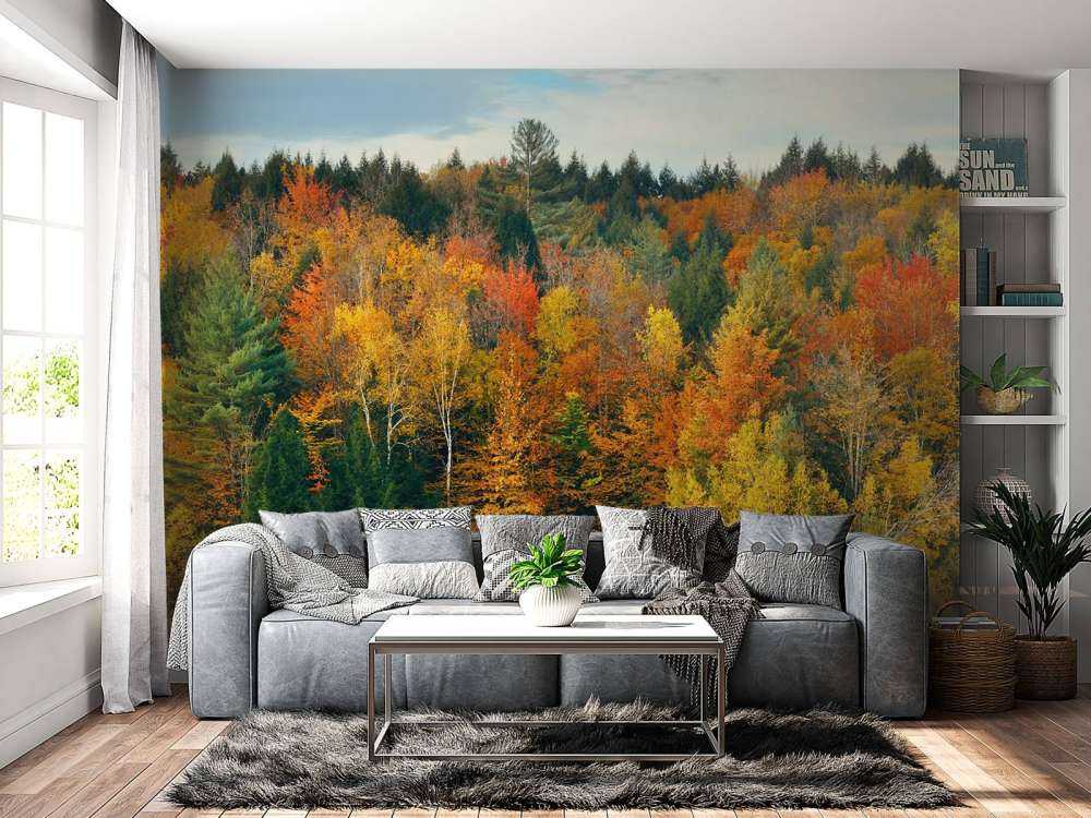 Lake with autumn trees