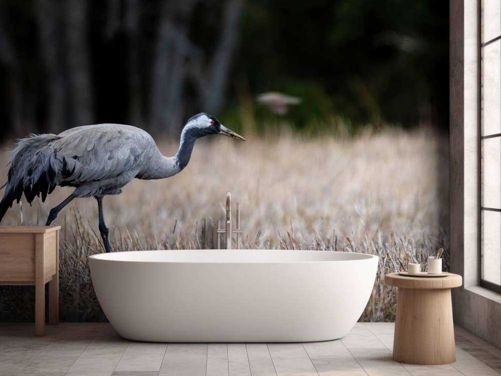 Lopende kraanvogel