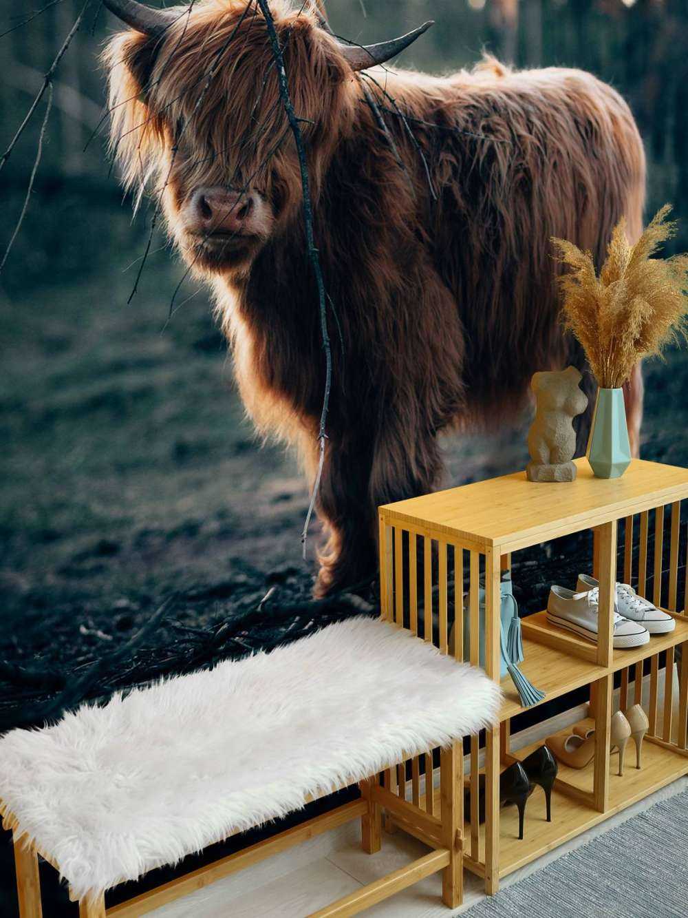 Scottish Highlander on the edge of the woods