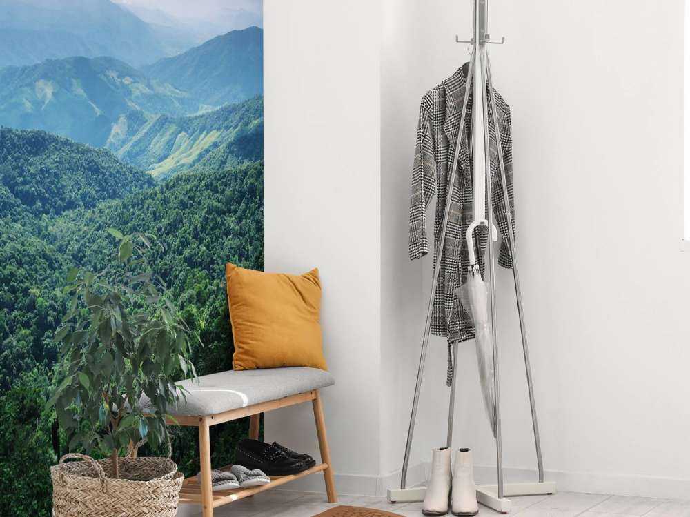 Green tropical forest