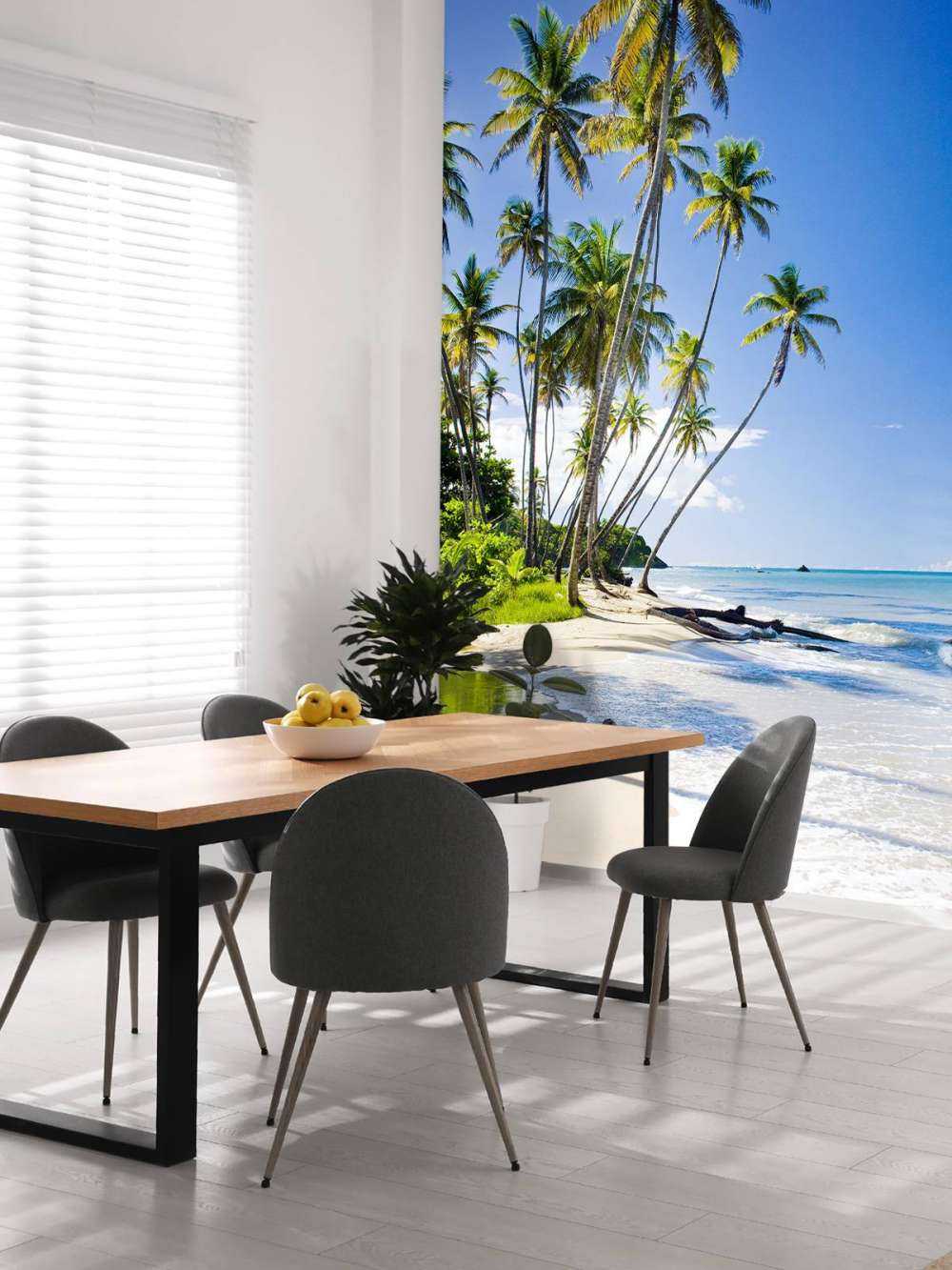 North coast of Trinidad