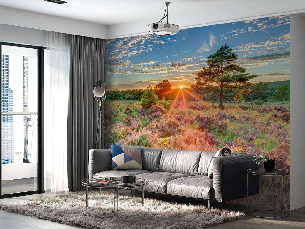 Sunset in the country