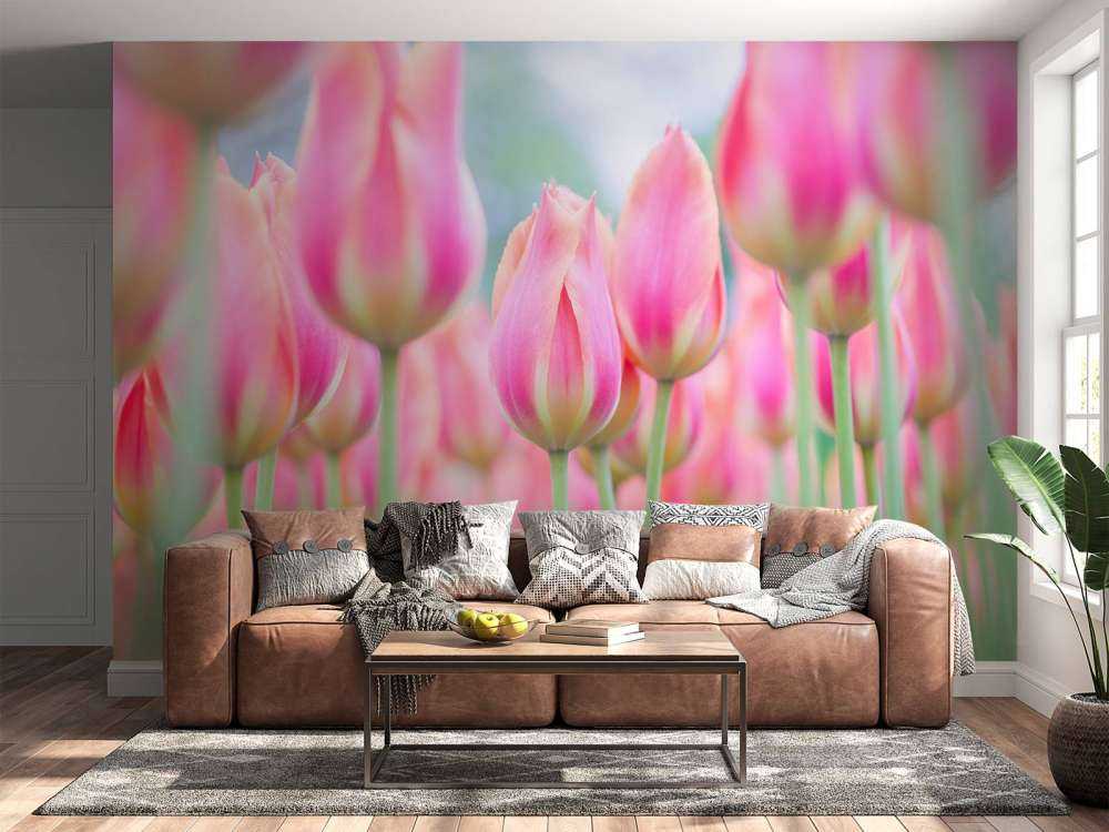 Close-up pink tulips