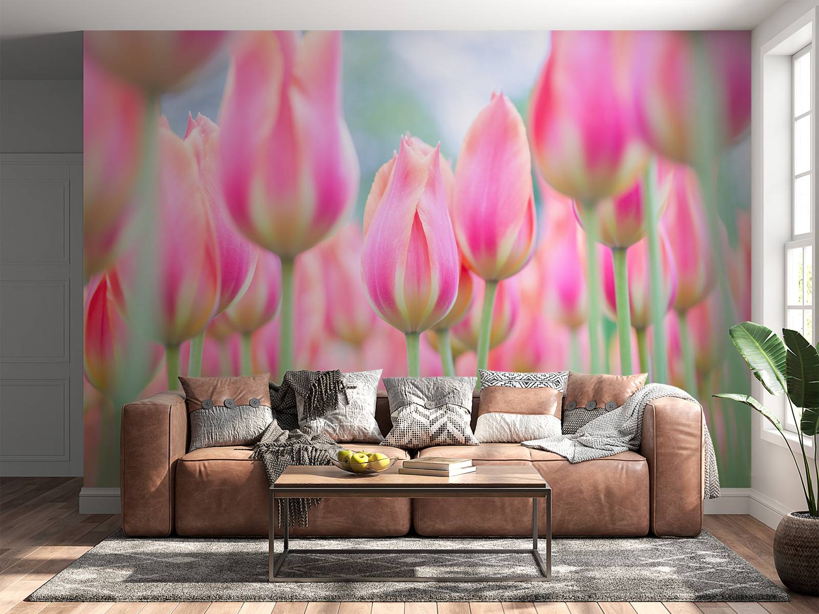 Close-up pink tulips