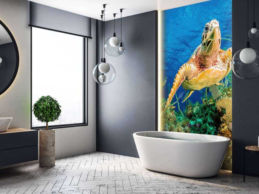 Hawksbill turtle swimming through Caribbean reef