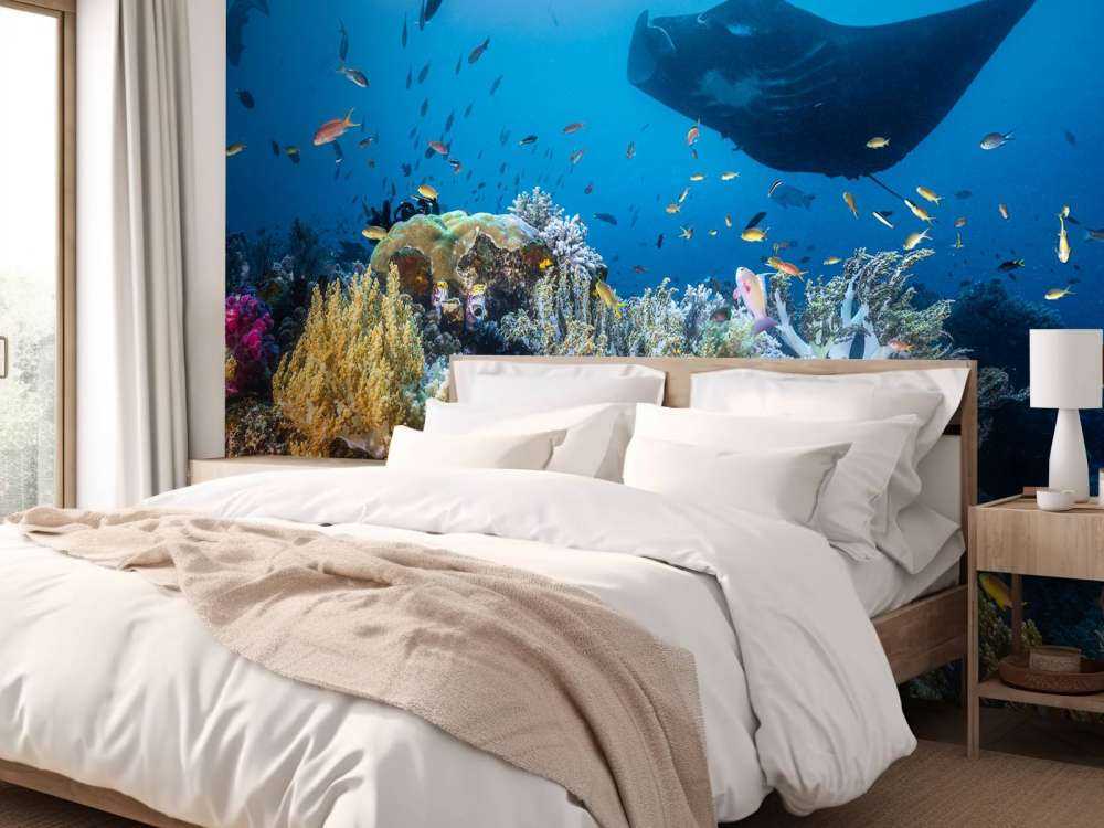 Manta reef on the reef