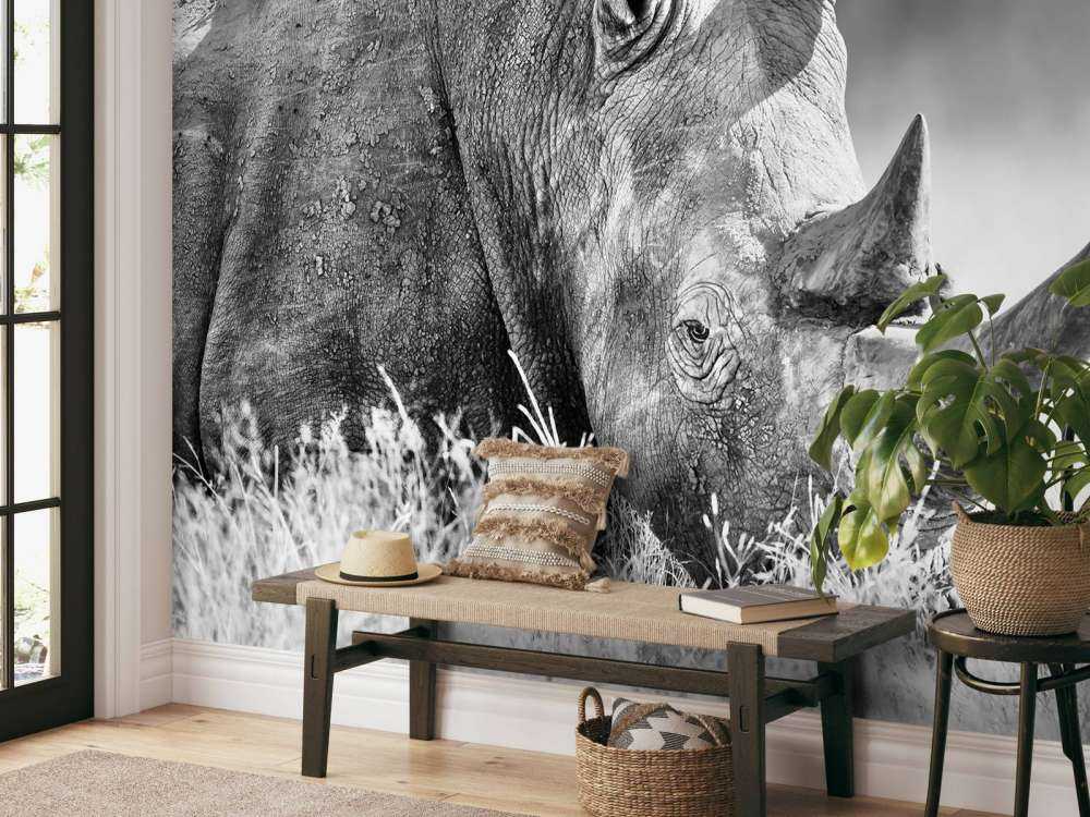 Neushoorn in zwart-wit