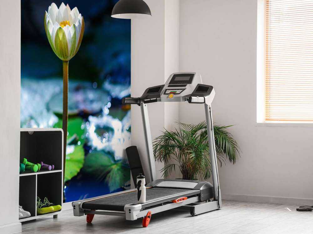 Lotusbloem in opkomend zonlicht