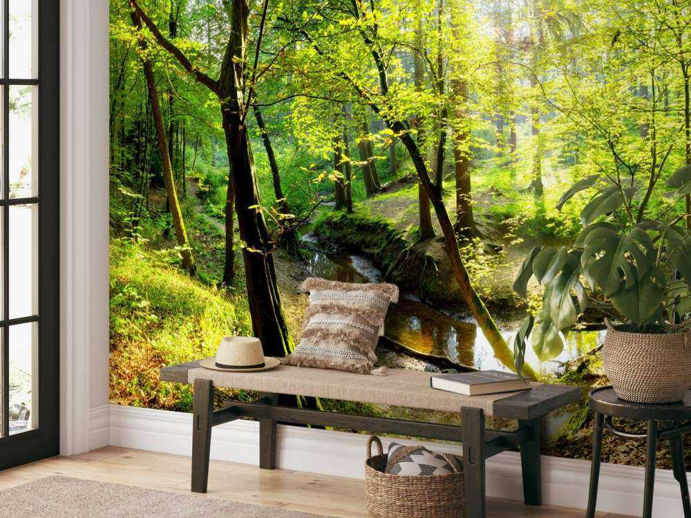Forest with brook