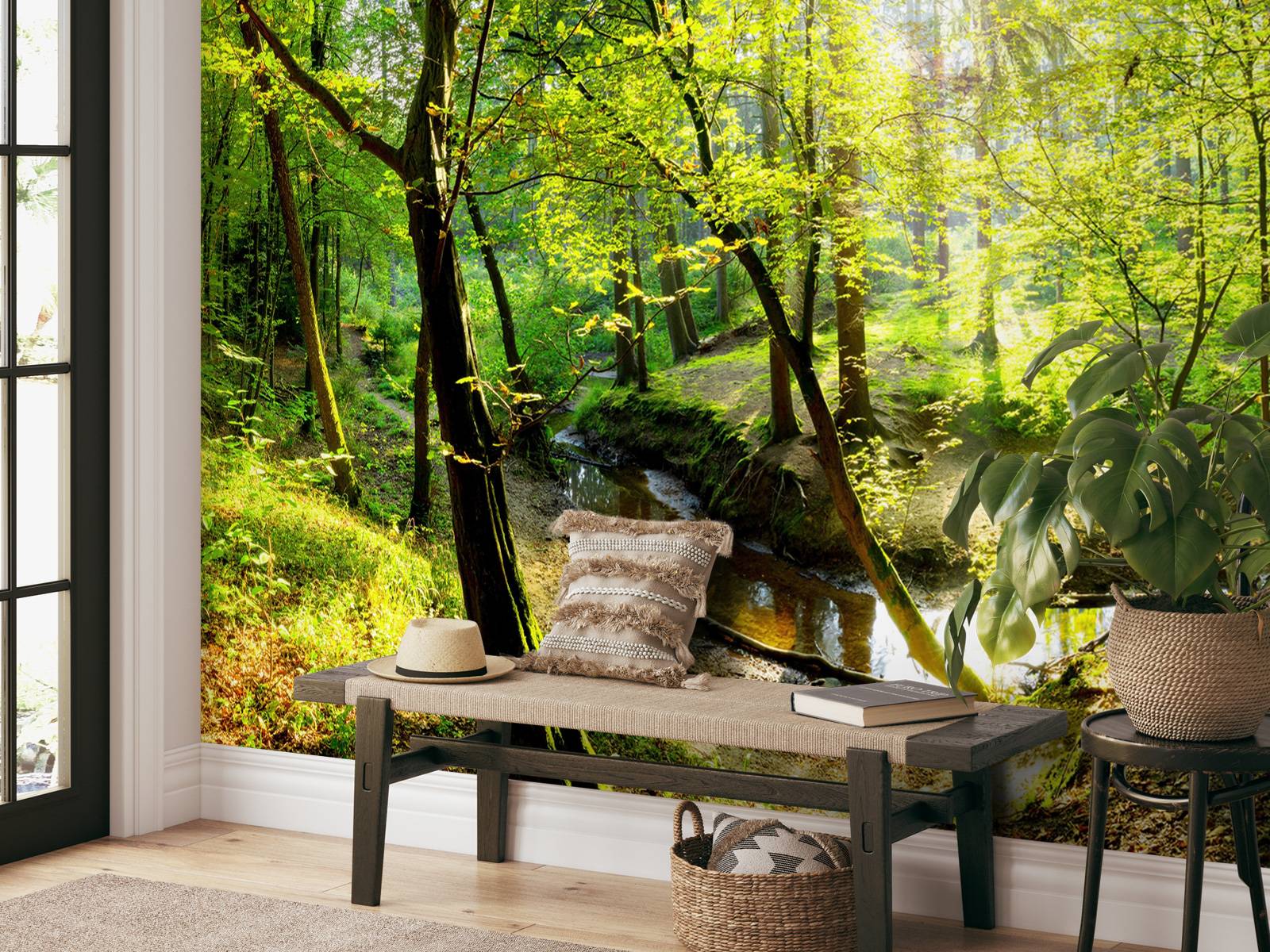 Forest with brook