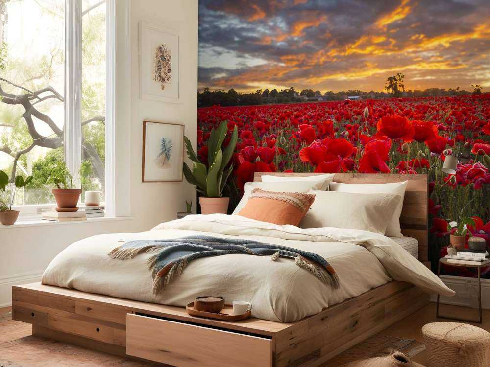 Poppies field with beautiful sky