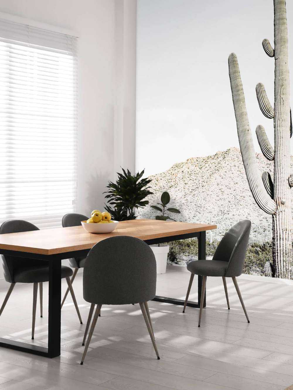 High cactus