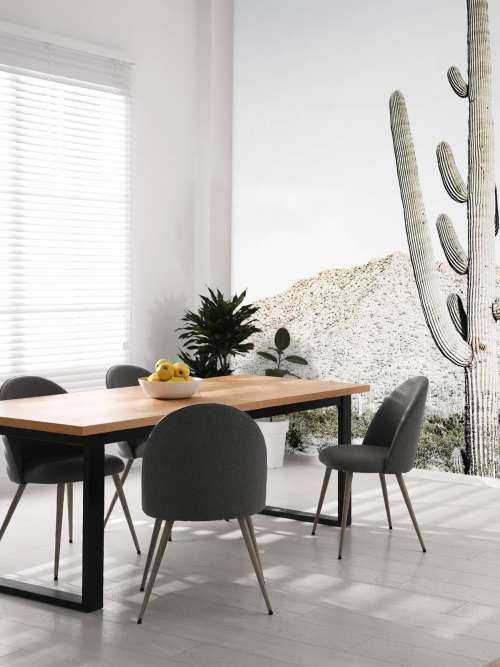 High cactus