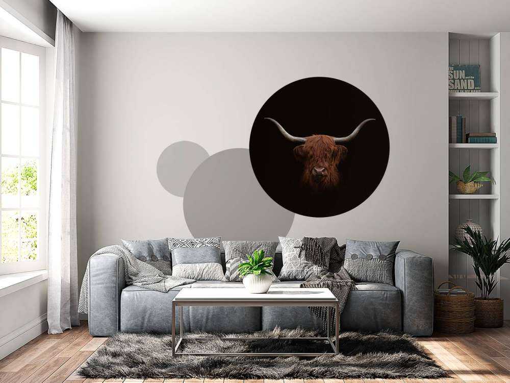 Scottish Highlander on dark background