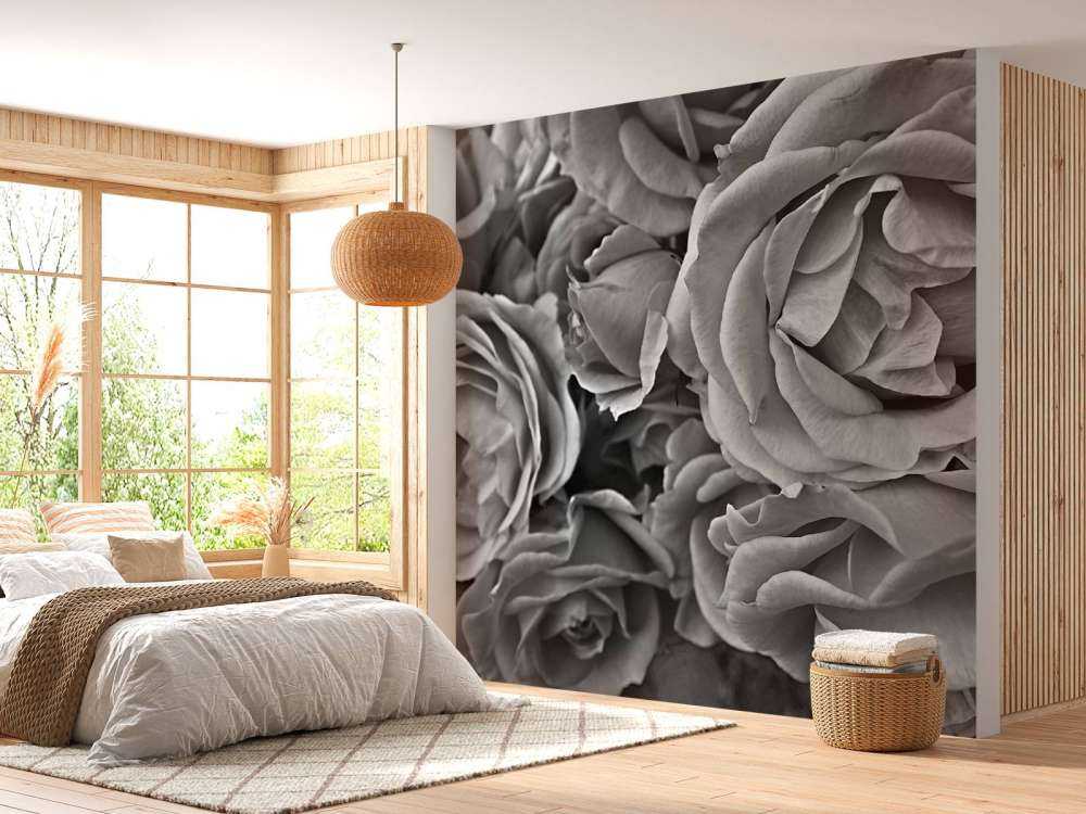 Roses black and white