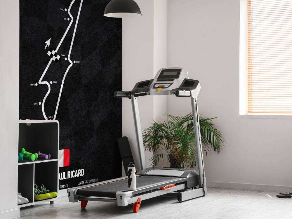 Formule 1 circuit - Circuit Paul Ricard - France