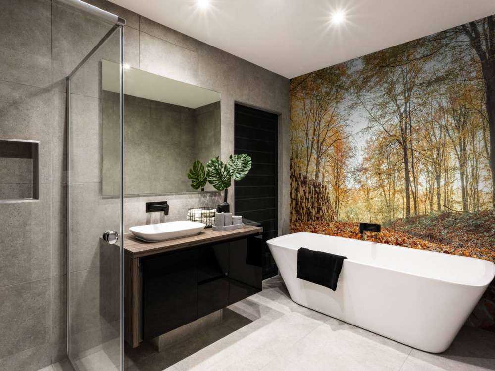 Tree trunks in autumn forest