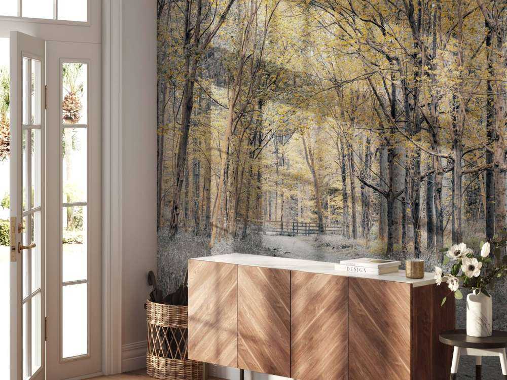 Forest road during autumn