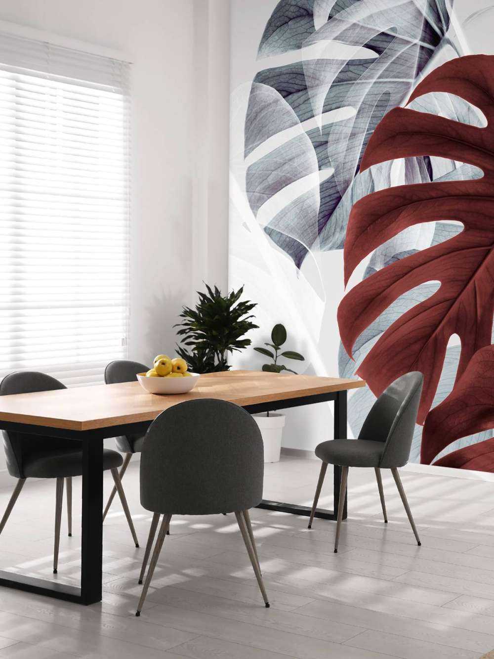 Monstera Creative 18