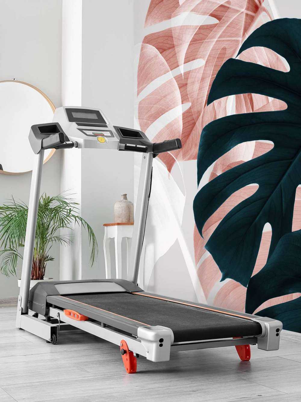 Monstera Creative 09