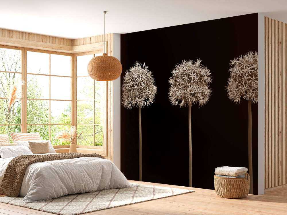 Three allium flowers in a row