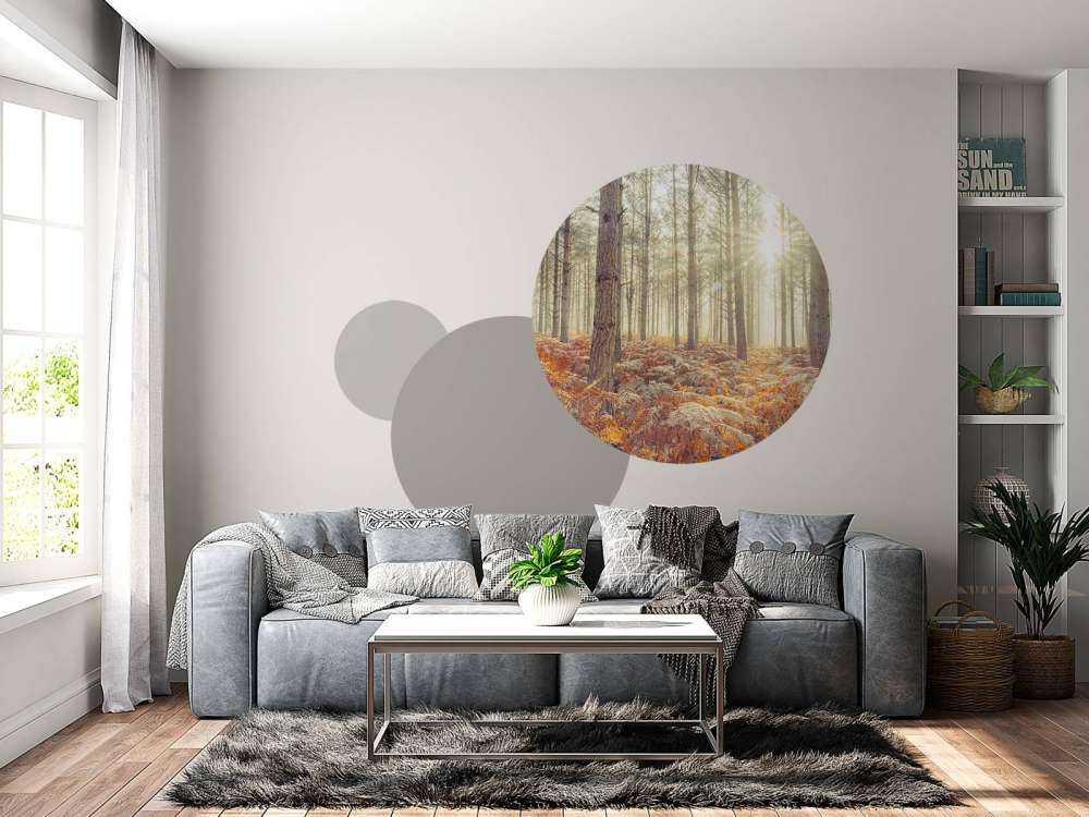 Sun rays through the cold trees