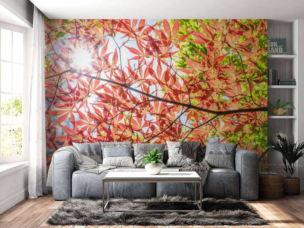 Red autumn leaves