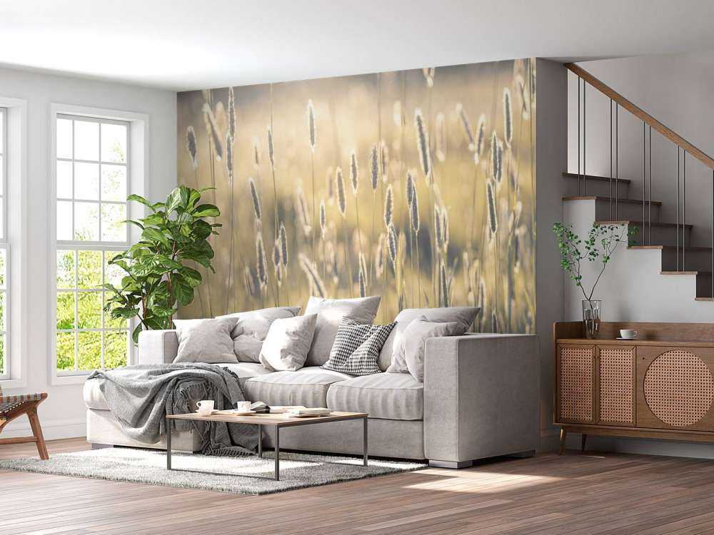 Summer meadow close-up