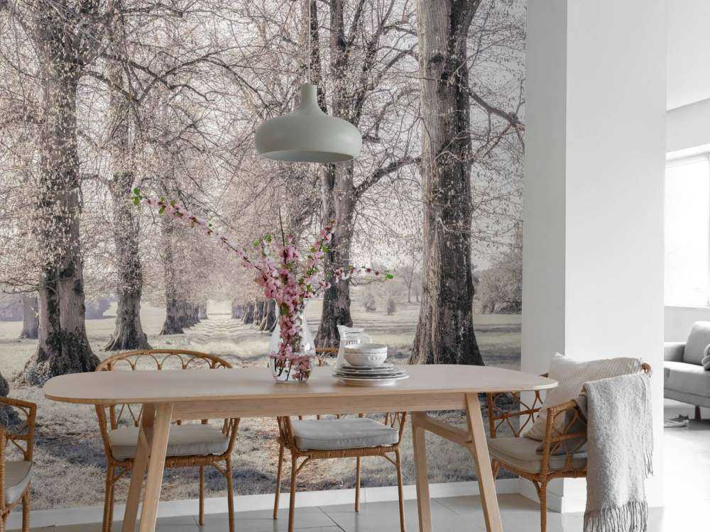 Tire tracks between the trees