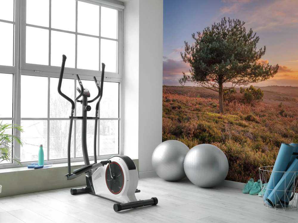 Sunset at a deserted area