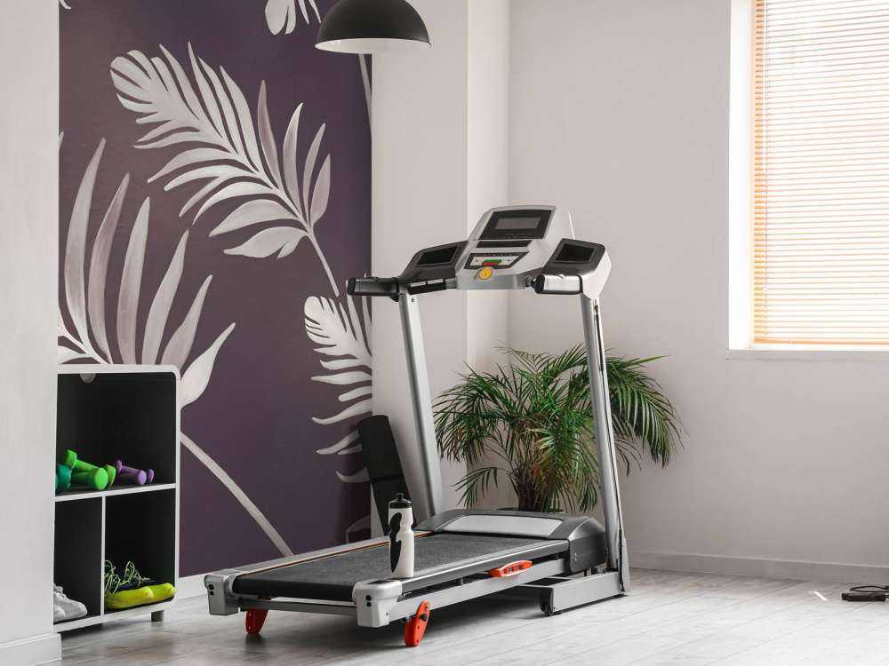 Golden Leaves on Dark Earth