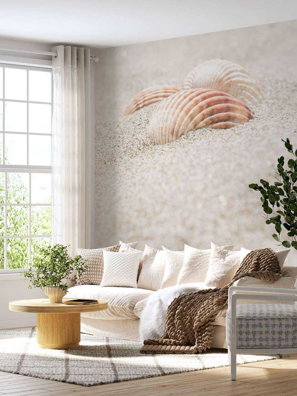 Shells on beach